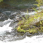 DSC01201.jpg