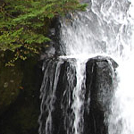 DSC01228.jpg
