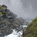 DSC01237.jpg