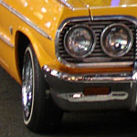 DSC01294.jpg