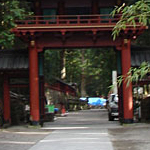 DSC02133.jpg